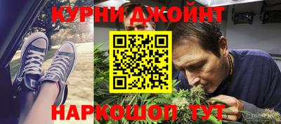 сатива Бузулук