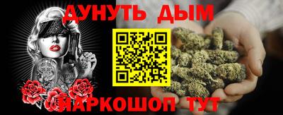 сатива Будённовск