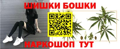 сатива Бузулук