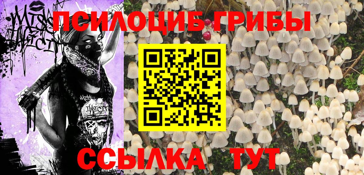 Отрадный  Псилоцибиновые грибы Cubensis  Вход с VPN 